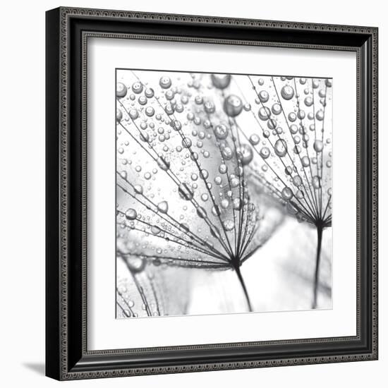 Delicate Wisps II-null-Framed Art Print