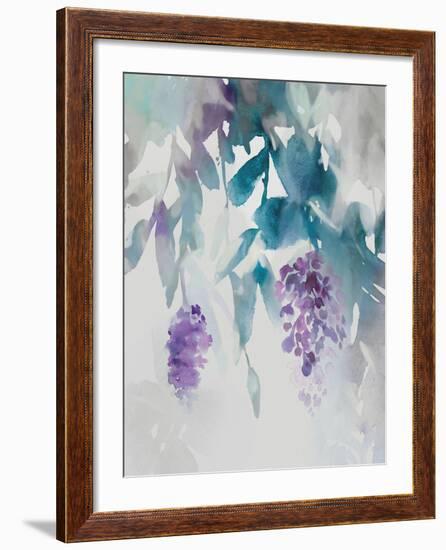 Delicate Wisteria-Tania Bello-Framed Giclee Print