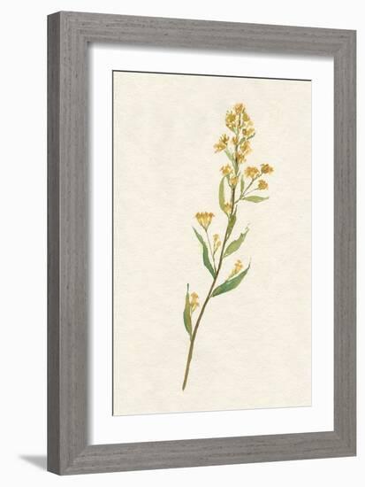 Delicate Yellow I-Jennifer Goldberger-Framed Art Print