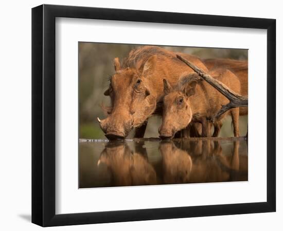 Delicate-Jaco Marx-Framed Photographic Print