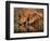 Delicate-Jaco Marx-Framed Photographic Print