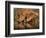 Delicate-Jaco Marx-Framed Photographic Print