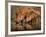 Delicate-Jaco Marx-Framed Photographic Print