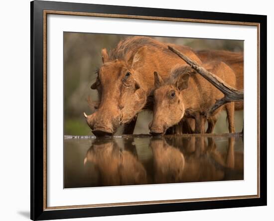 Delicate-Jaco Marx-Framed Photographic Print