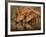 Delicate-Jaco Marx-Framed Photographic Print