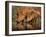 Delicate-Jaco Marx-Framed Photographic Print