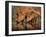 Delicate-Jaco Marx-Framed Photographic Print