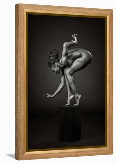 Delicately Poised-Ross Oscar-Framed Premier Image Canvas