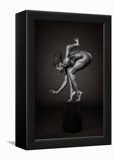 Delicately Poised-Ross Oscar-Framed Premier Image Canvas