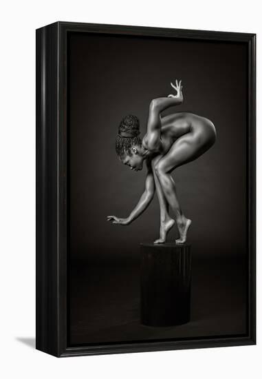 Delicately Poised-Ross Oscar-Framed Premier Image Canvas