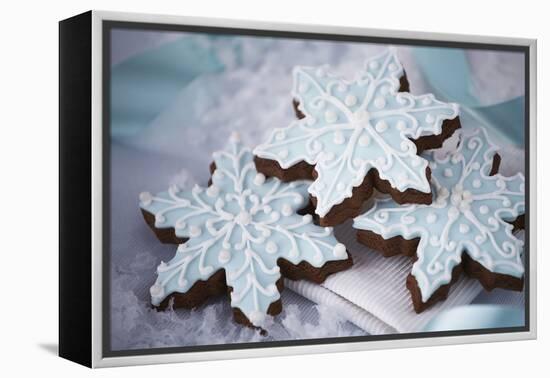 Delicious Christmas Cookies-Tammy Hanratty-Framed Premier Image Canvas