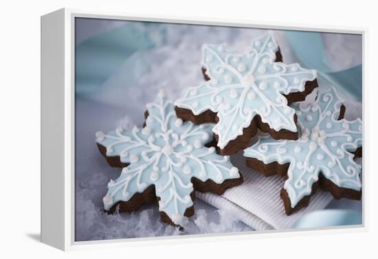 Delicious Christmas Cookies-Tammy Hanratty-Framed Premier Image Canvas