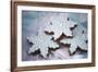 Delicious Christmas Cookies-Tammy Hanratty-Framed Photographic Print
