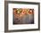 Delicious Italian Pizzas Served on Wooden Table-Jag_cz-Framed Photographic Print