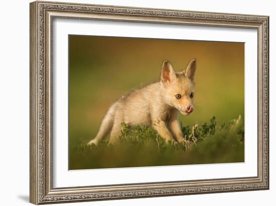 Delicious Meal-Ahmed Sobhi-Framed Giclee Print
