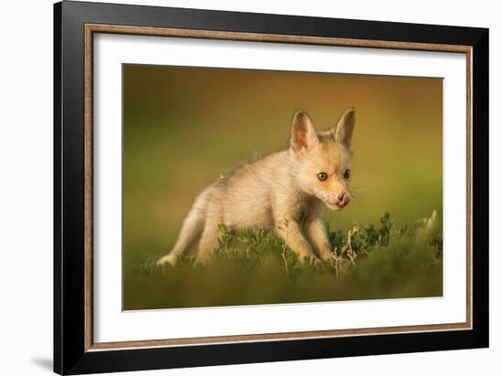 Delicious Meal-Ahmed Sobhi-Framed Giclee Print