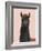 Delightful Alpacas IV-Becky Thorns-Framed Art Print