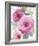 Delightful Floral-Sandra Jacobs-Framed Giclee Print
