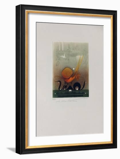 Delires d'un Reveur-null-Framed Limited Edition