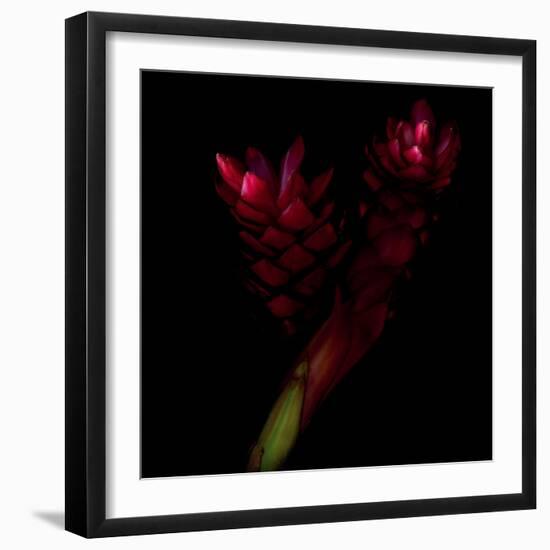 Delirium - Ginger-Magda Indigo-Framed Photographic Print