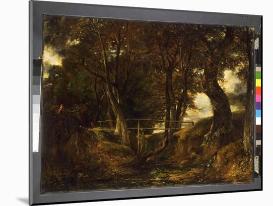 Dell at Helmingham Park, C.1825 (Oil on Canvas)-John Constable-Mounted Giclee Print