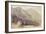 Delphi, C.1849-Edward Lear-Framed Giclee Print