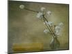 Premium Photographic Print