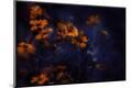 Premium Photographic Print
