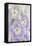 Delphinium Blossoms I-Kathy Mahan-Framed Premier Image Canvas