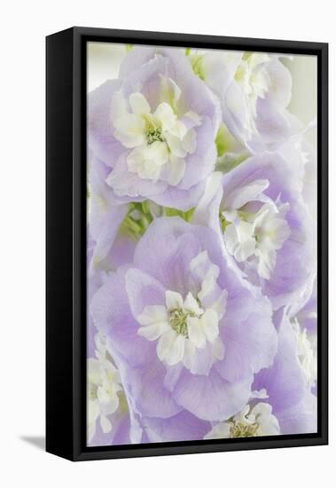 Delphinium Blossoms I-Kathy Mahan-Framed Premier Image Canvas