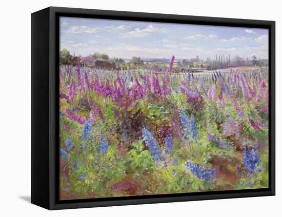 Delphinium Field and Church-Timothy Easton-Framed Premier Image Canvas