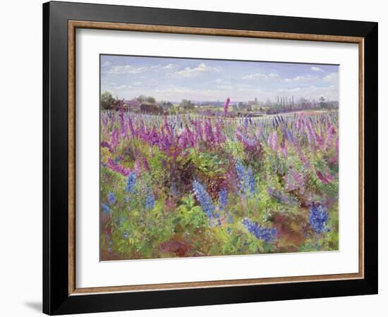 Delphinium Field and Church-Timothy Easton-Framed Giclee Print