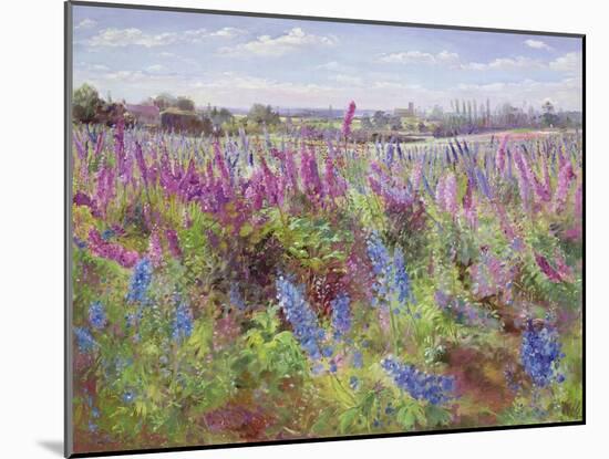 Delphinium Field and Church-Timothy Easton-Mounted Giclee Print