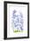 Delphinium-Jacky Parker-Framed Giclee Print