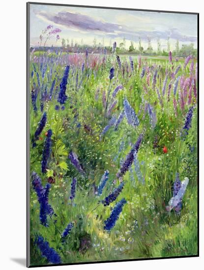 Delphiniums and Emerging Sun-Timothy Easton-Mounted Giclee Print