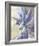 Delphiniums on a Window Sill-Elizabeth Parsons-Framed Giclee Print