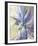 Delphiniums on a Window Sill-Elizabeth Parsons-Framed Giclee Print