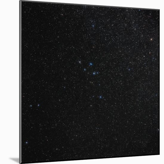 Delphinus Constellation-Eckhard Slawik-Mounted Premium Photographic Print