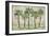 Delray Palm Horizontal-Paul Brent-Framed Art Print