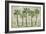 Delray Palm Horizontal-Paul Brent-Framed Art Print