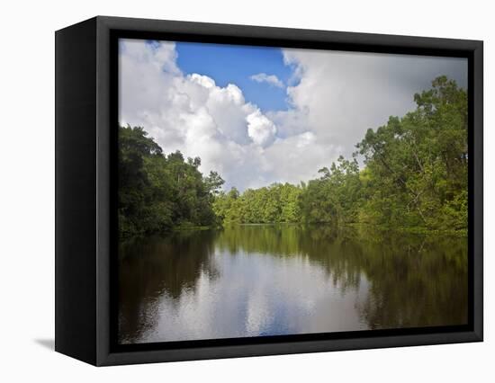 Delta Amacuro, Orinoco Delta, Venezuela, South America-Jane Sweeney-Framed Premier Image Canvas