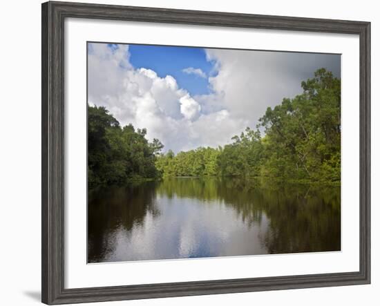 Delta Amacuro, Orinoco Delta, Venezuela, South America-Jane Sweeney-Framed Photographic Print