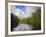 Delta Amacuro, Orinoco Delta, Venezuela, South America-Jane Sweeney-Framed Photographic Print