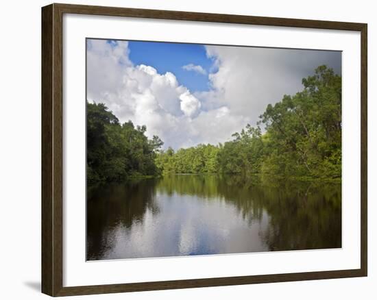 Delta Amacuro, Orinoco Delta, Venezuela, South America-Jane Sweeney-Framed Photographic Print