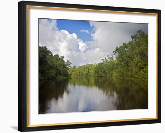 Delta Amacuro, Orinoco Delta, Venezuela, South America-Jane Sweeney-Framed Photographic Print