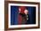 DEM 2016 Clinton Sanders-Gerald Herbert-Framed Photographic Print