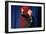 DEM 2016 Clinton Sanders-Gerald Herbert-Framed Photographic Print