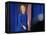 DEM 2016 Clinton-Gerald Herbert-Framed Premier Image Canvas