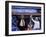 DEM 2016 Convention-Matt Rourke-Framed Photographic Print