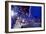 DEM 2016 Convention-Carolyn Kaster-Framed Photographic Print